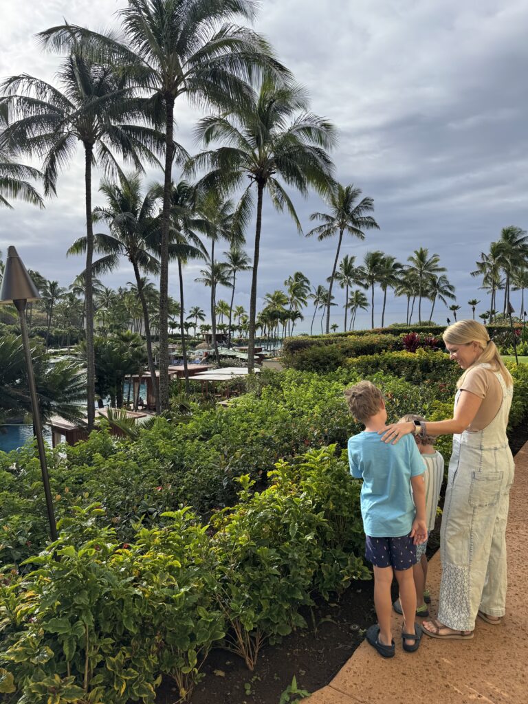 These amex offers are wild